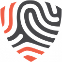 BigID logo
